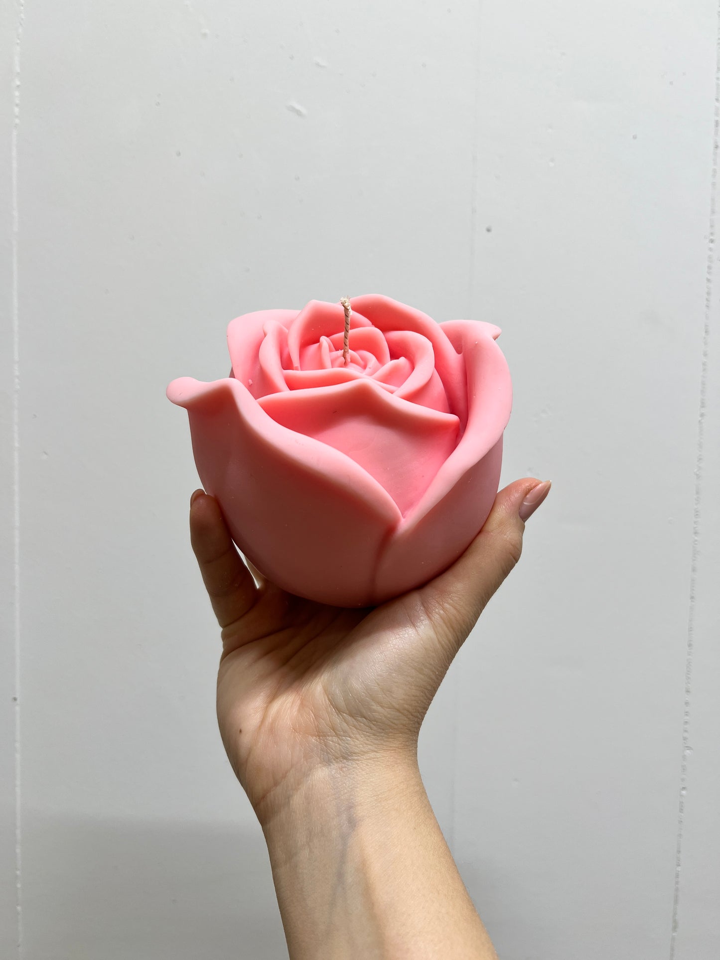 Rose XL