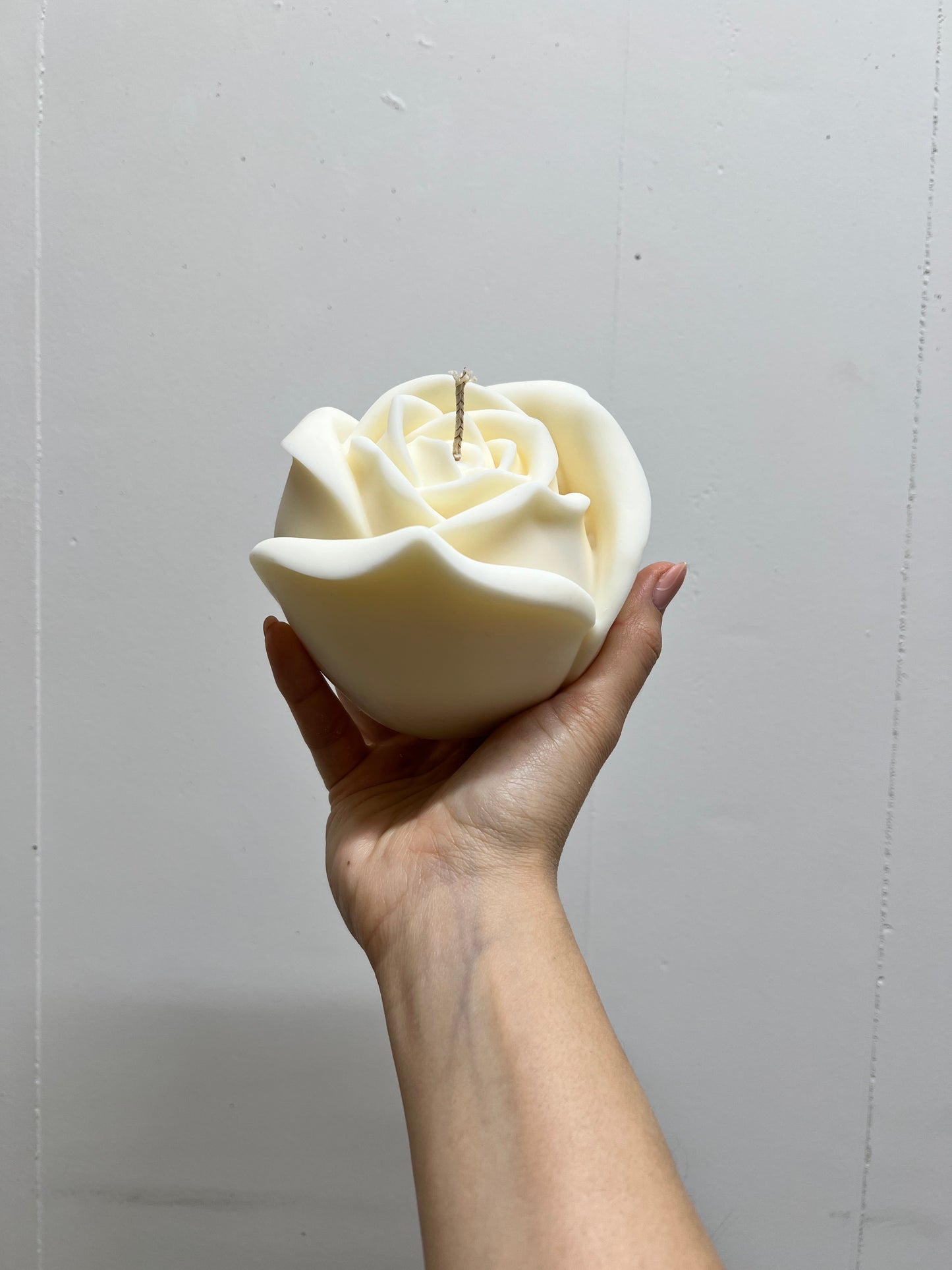Rose XL