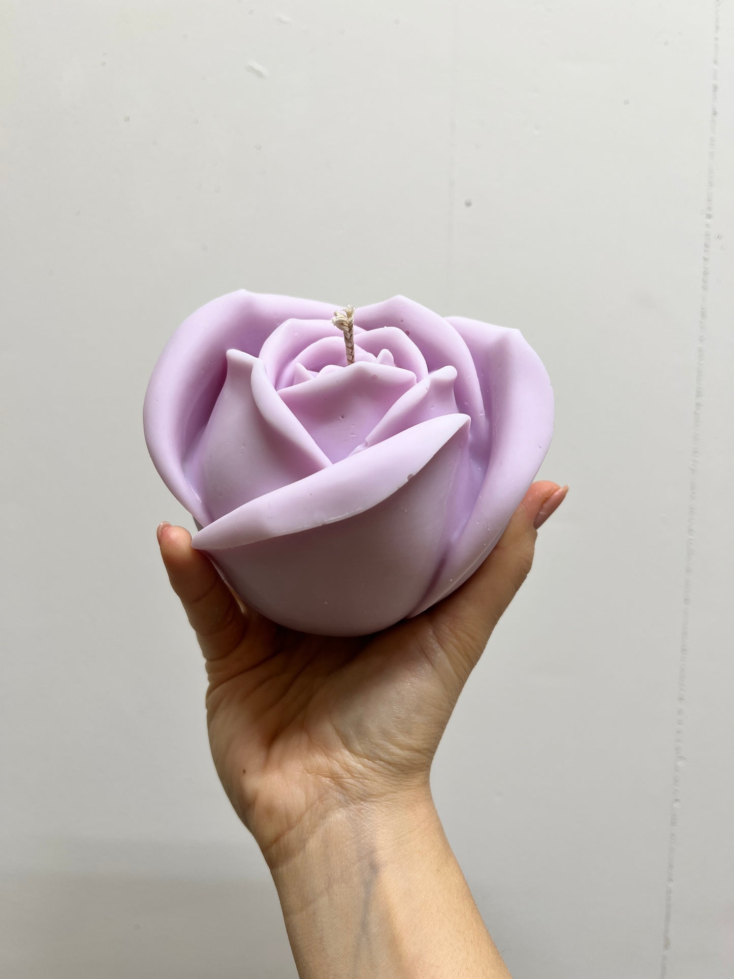Rose XL