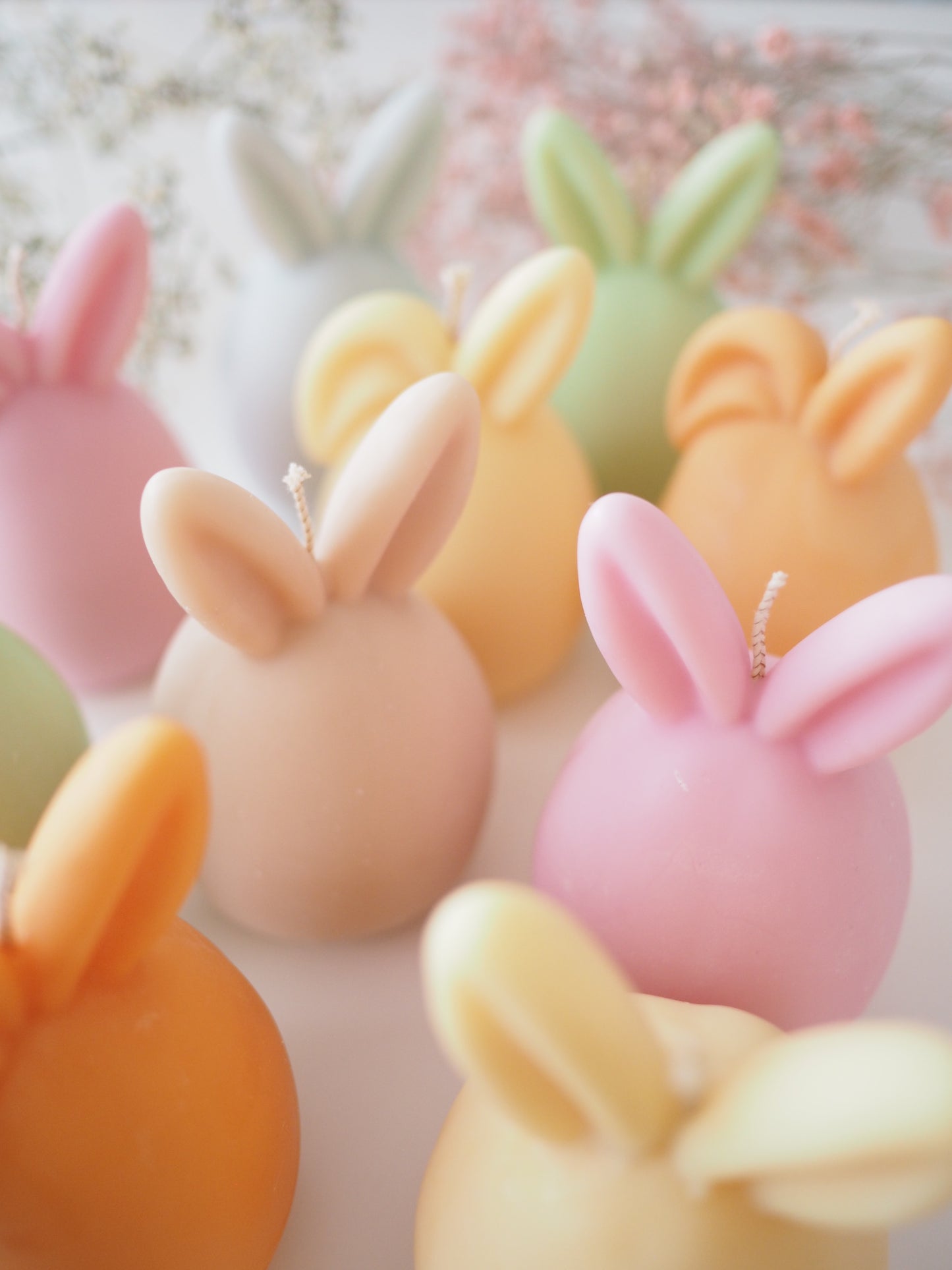 Bunny
