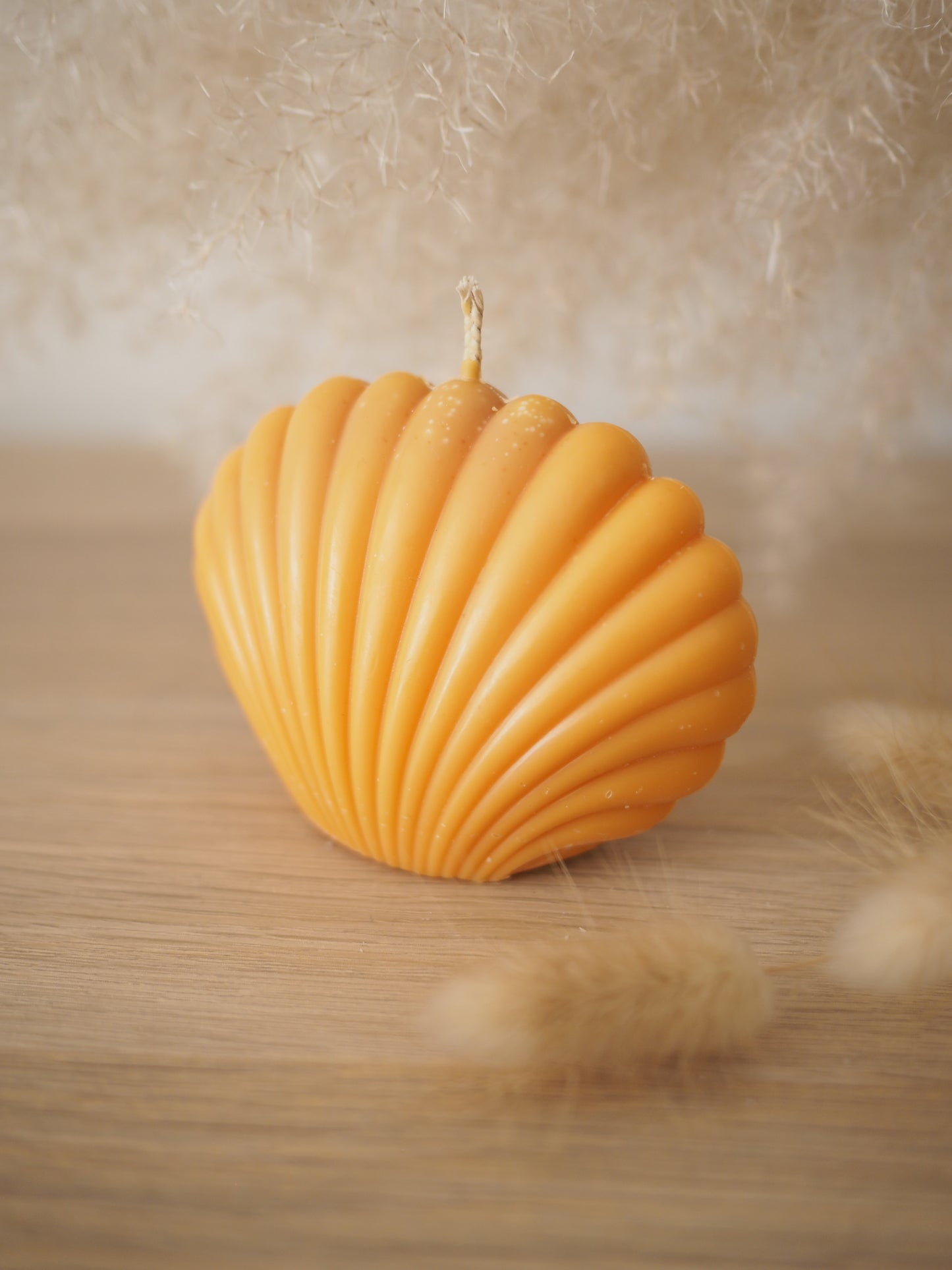Shell