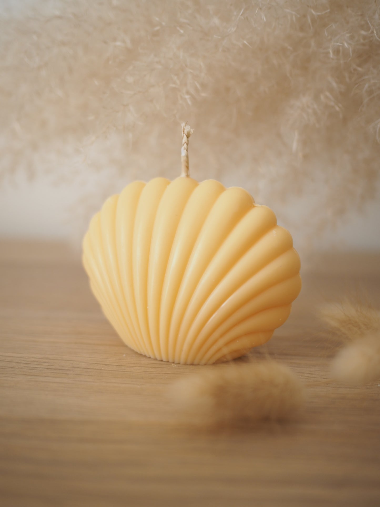 Shell