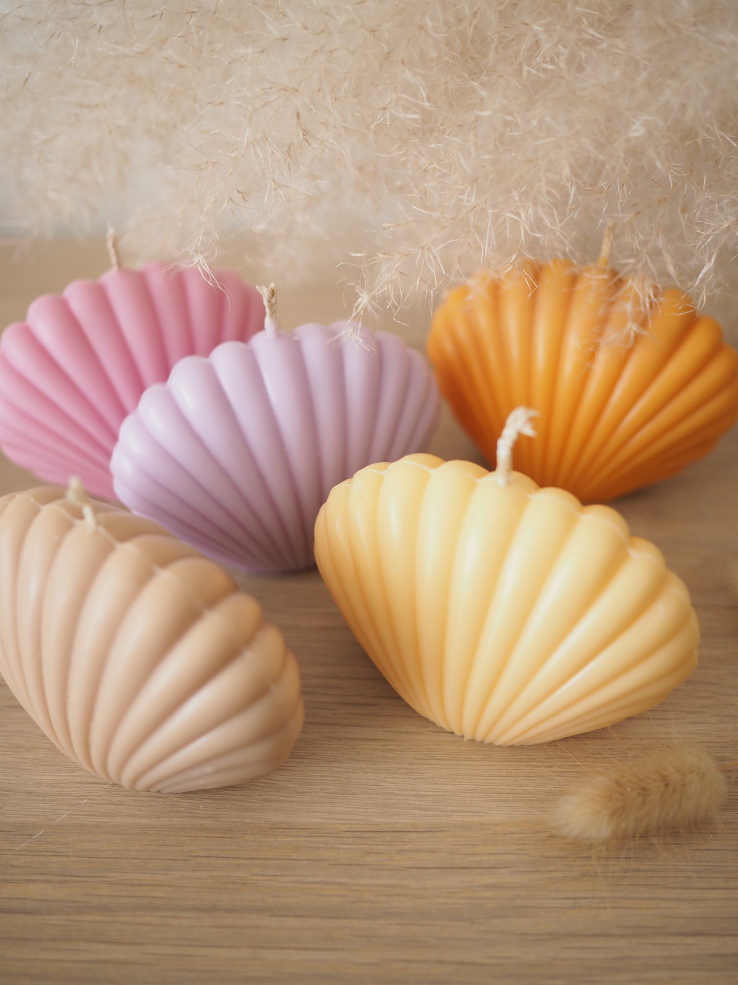 Shell