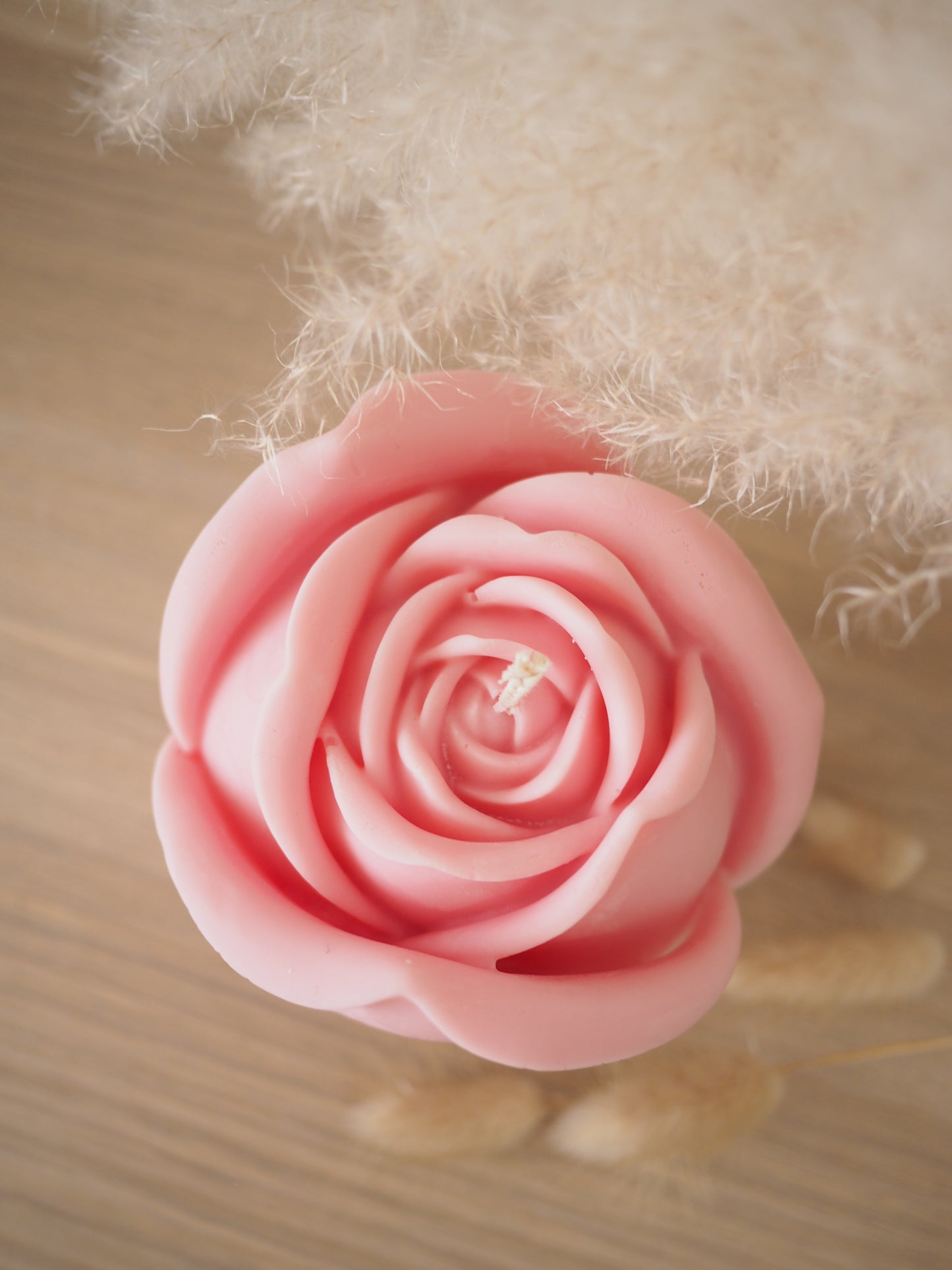 Rose XL