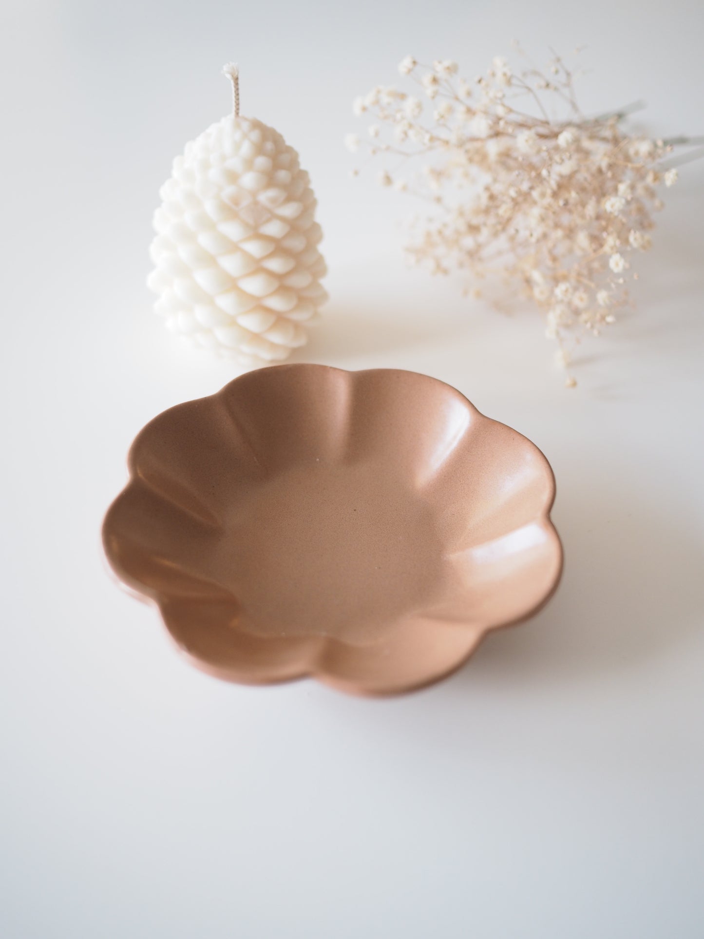 Paquerette