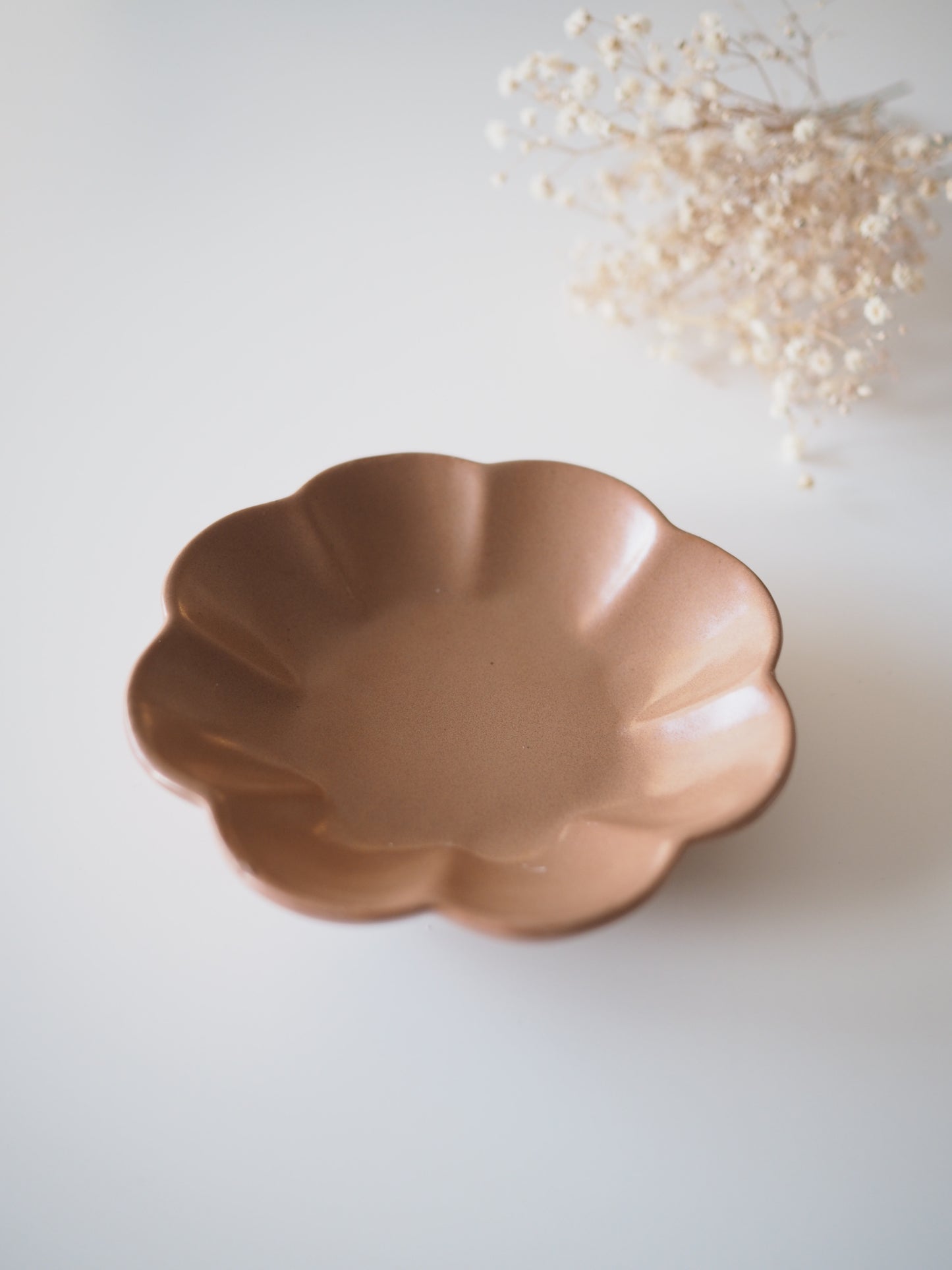 Paquerette