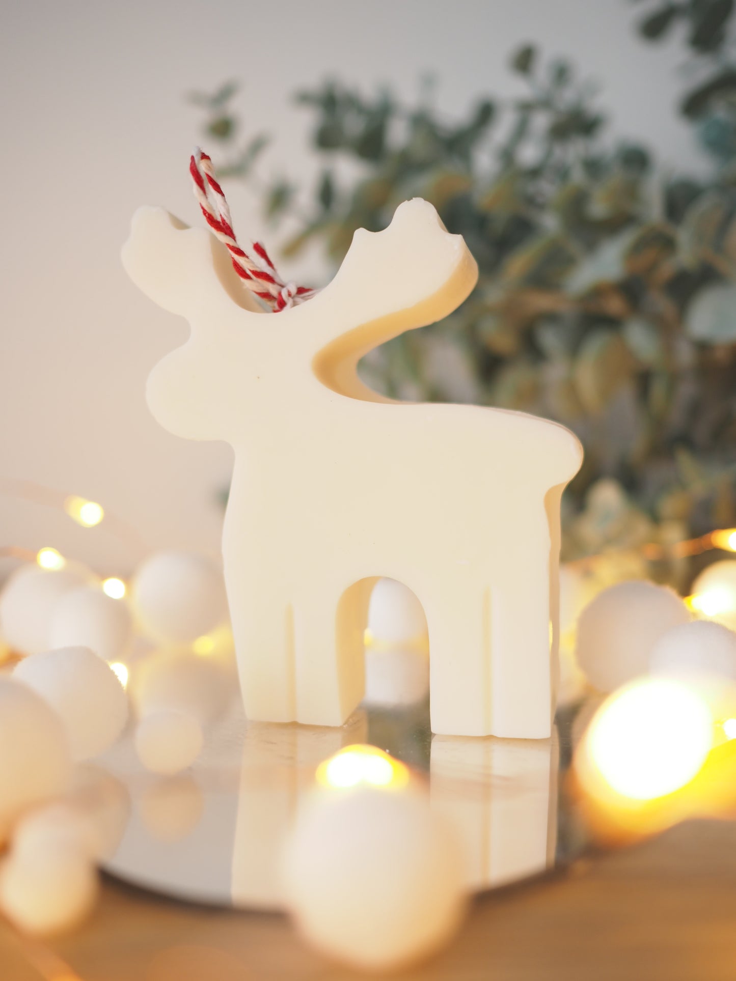 Rudolf